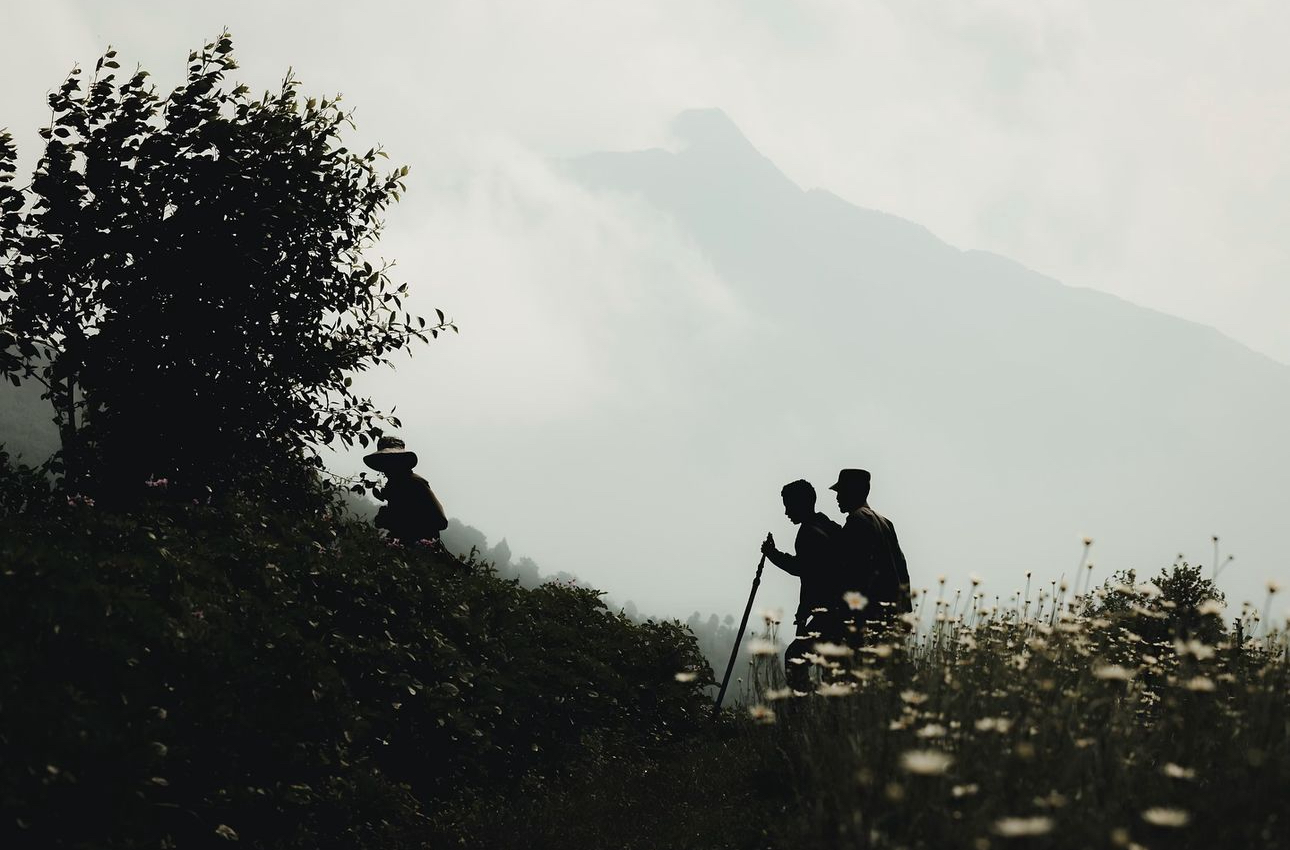 Gorilla, Golden Monkey Trekking, Twin Lakes & Culture Group Tour Experience.